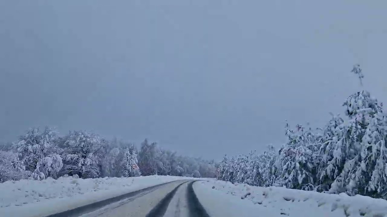 Снежная зима достаточно , аж деревья согнулись под тяжестью снега ❄️ 