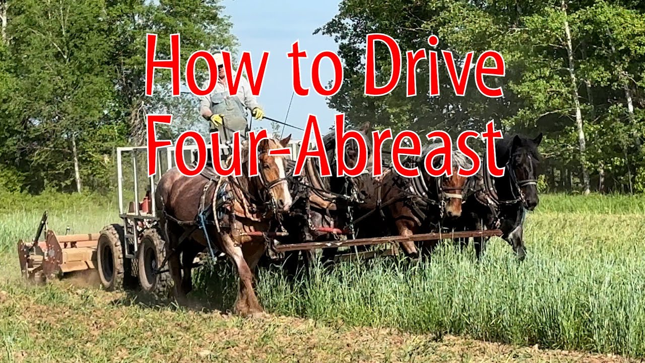 How to Drive Four Abreast