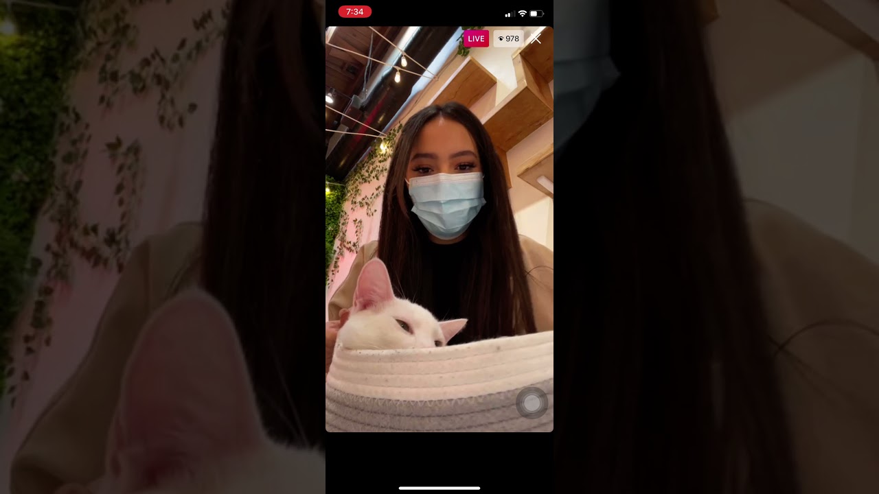 Faouzia IG live | November 8, 2021
