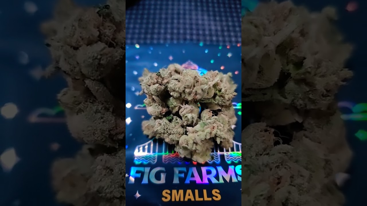 animal face smalls by fig farm total thc 41.65
