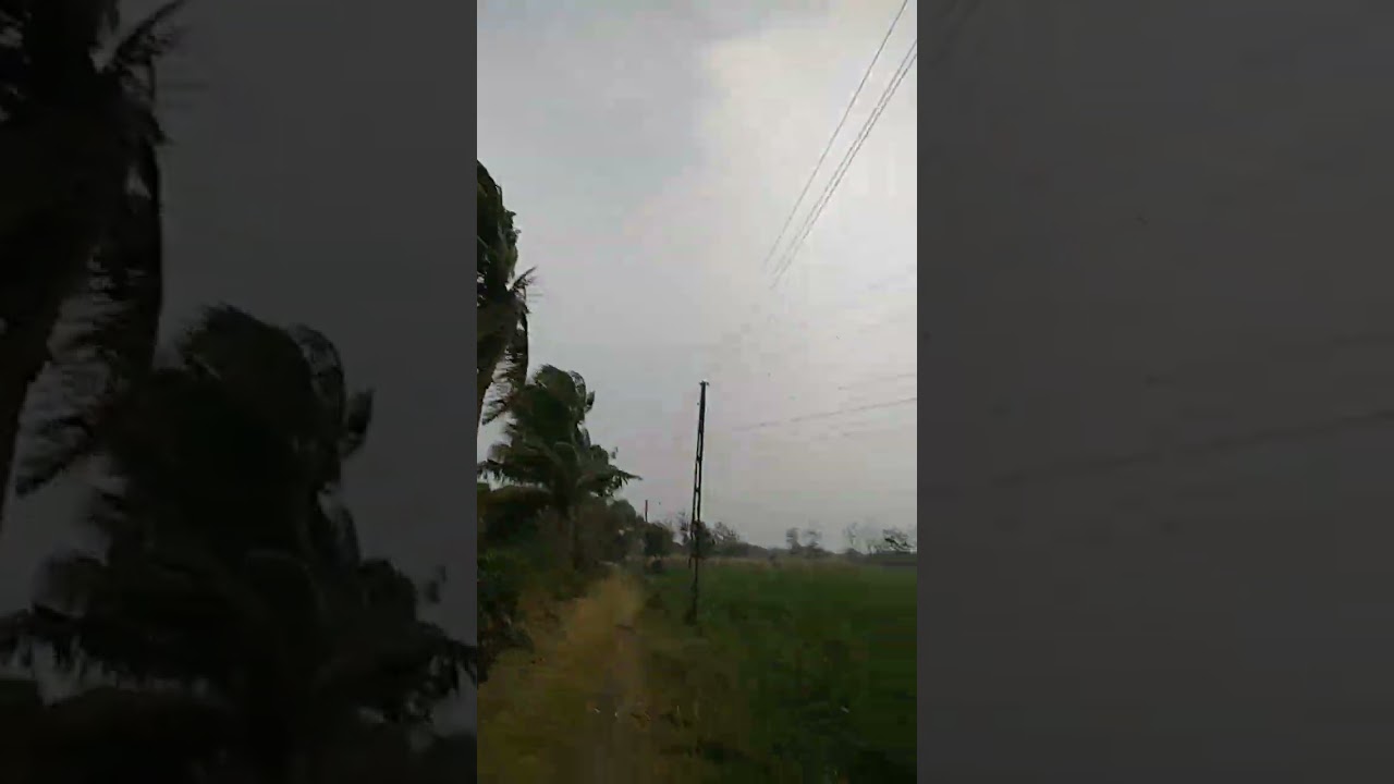 Today first rain with wind of Dungri village. Mangrol. Surat Gujarat India.6/3/23