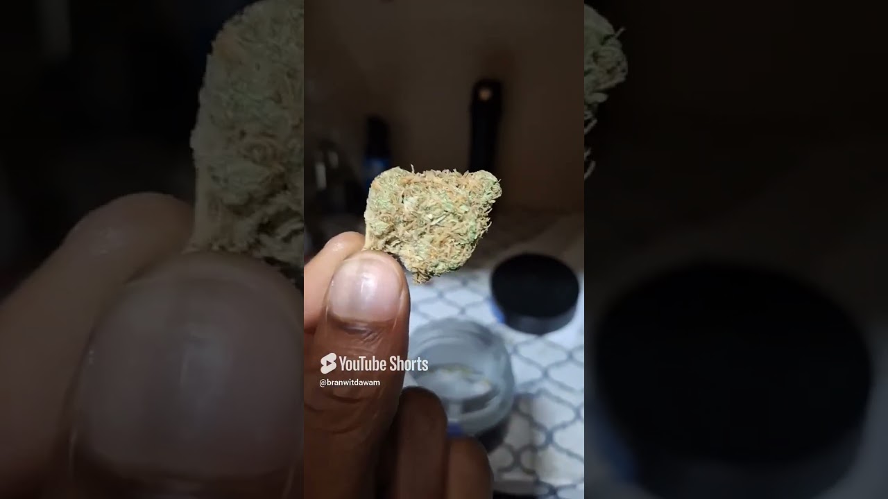 RHYTHM - Golden Goat Strain Review