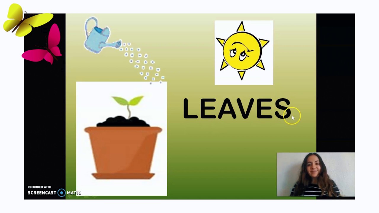 Caring plants. Medium level. Bilingual project. Escuela Infantil Alkor. #AlkorAtHome