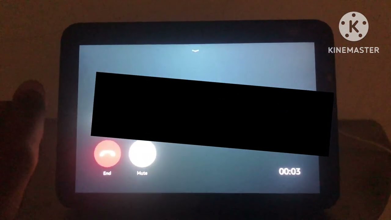 Alexa echo show 8 incoming call
