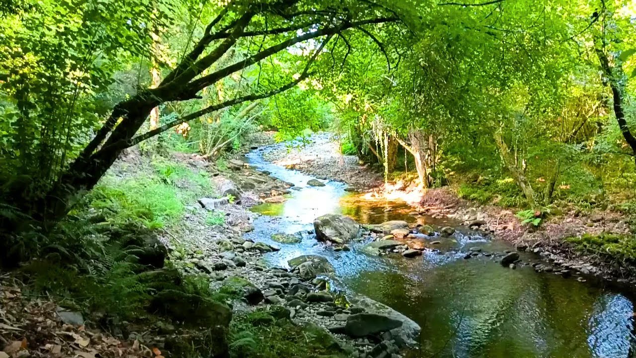 🇪🇸 🌳 Outes (Río Tins) (Tráiler) 