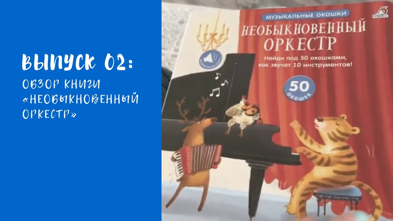 #обзорыкниг. ОБЗОР КНИГИ МУЗЫКАЛЬНЫЕ ОКОШКИ «НЕОБЫКНОВЕННЫЙ ОРКЕСТР»
