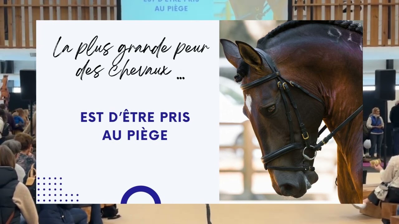 Quels sont les besoins mentaux des chevaux ? Conférence au jumping international de Bordeaux 2024￼￼