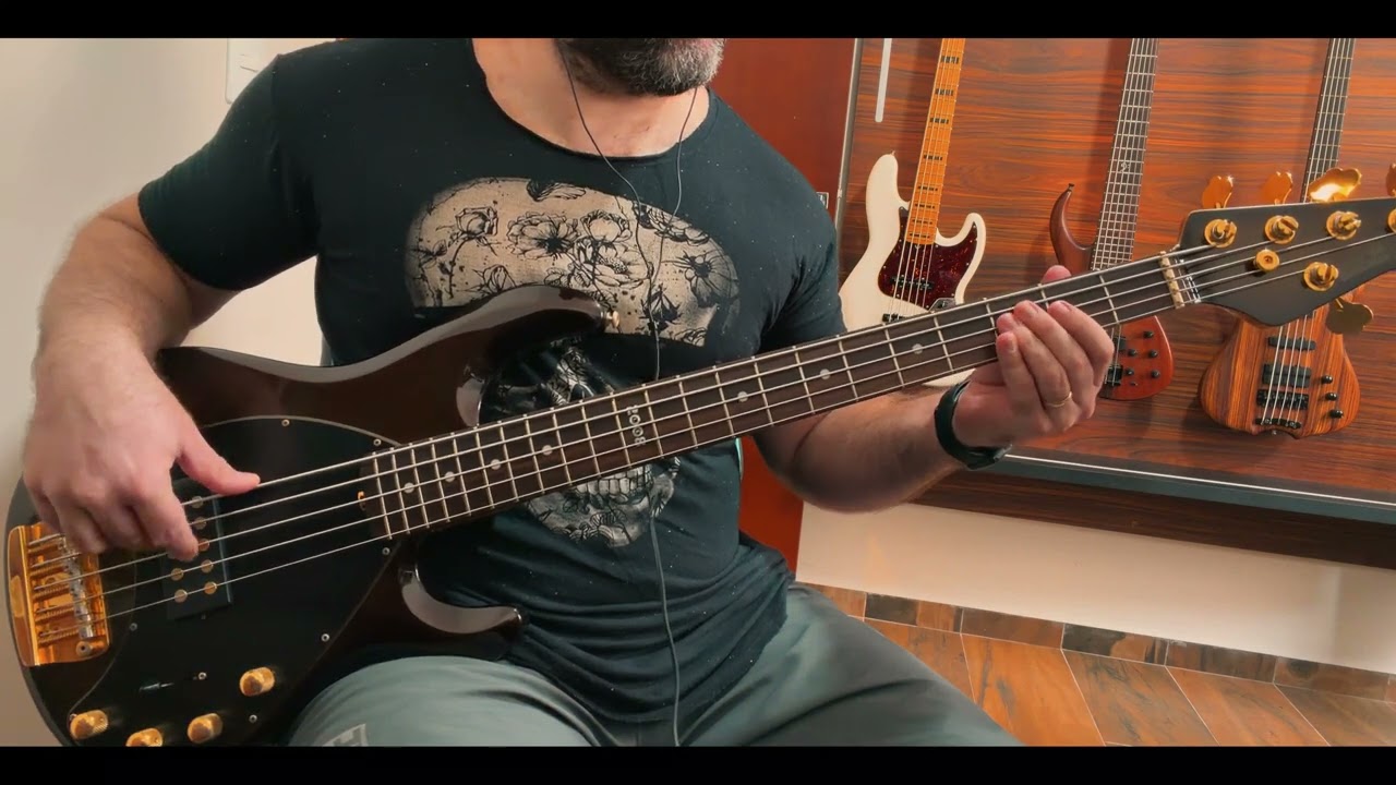 Time After Time – Cyndi Lauper | Bass Cover 🎸 StingRay 5
