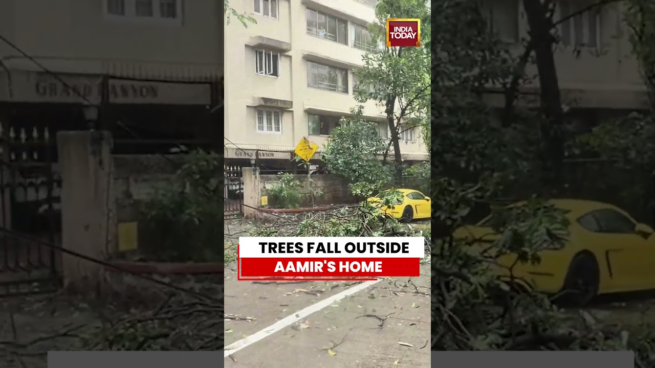 Trees Fall Outside Aamir Khan&rsquo;s House Amid Mumbai Rains | India Today