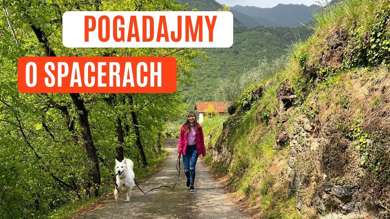 POGADAJMY O SPACERACH