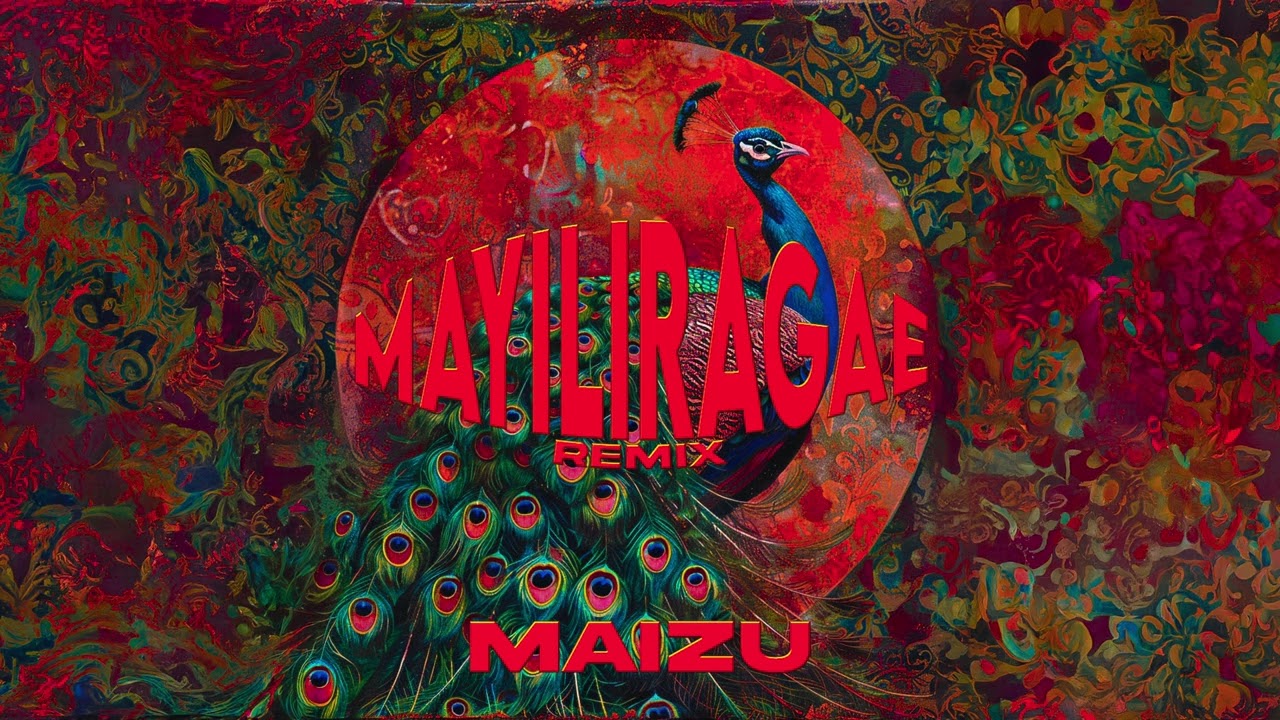 Mayiliragae x Where is the party - MAIZU Remix