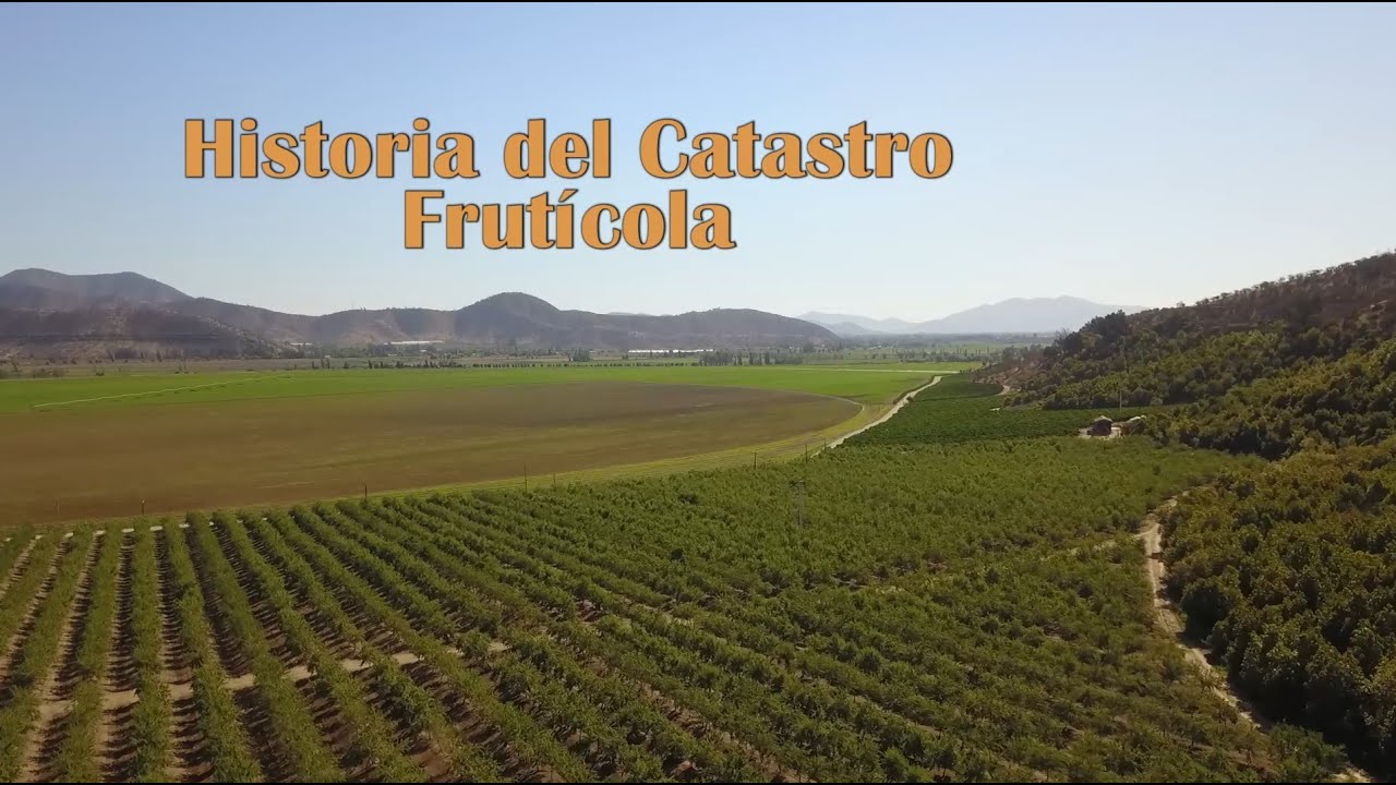 Historia del Catastro Frut&iacute;cola