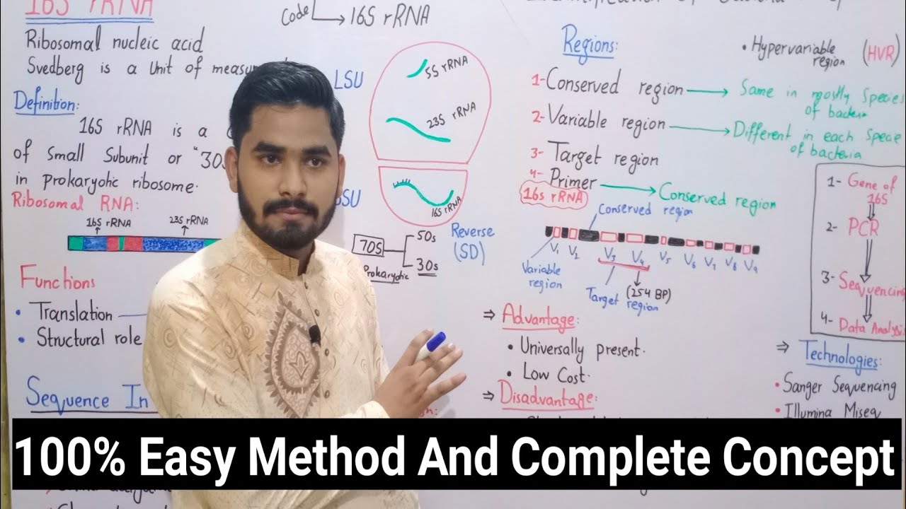 16S rRNA Sequencing In Urdu Hindi || 16S rRNA Bacteria Identification