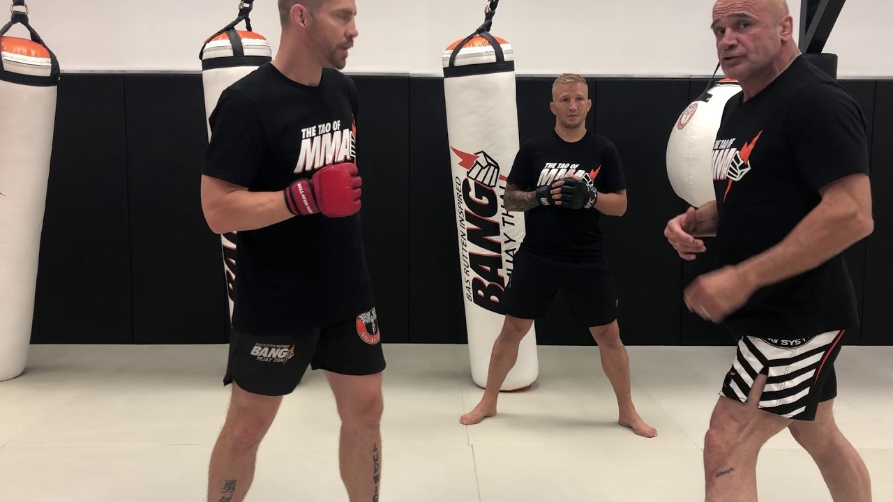 Kickboxing For MMA: Cross set up with Sensei Bas Rutten