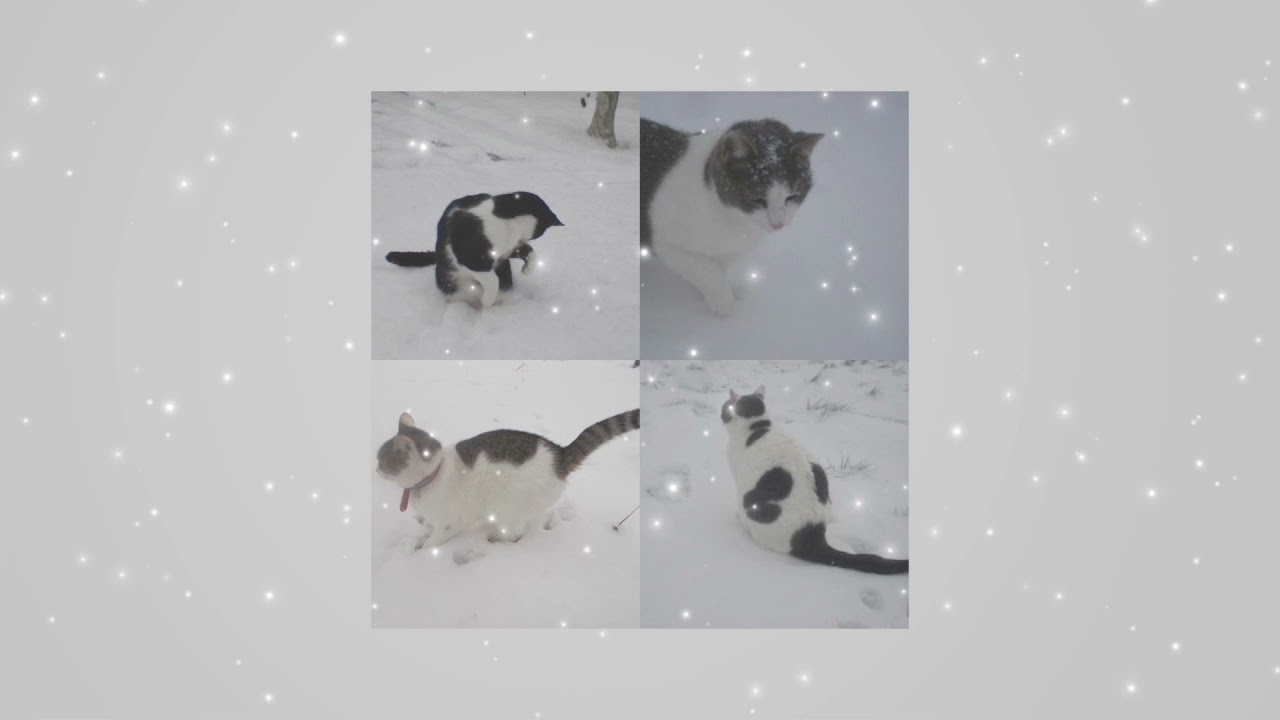 * ♡˚ 。korean fluency 。˚♡ * listen once subliminal