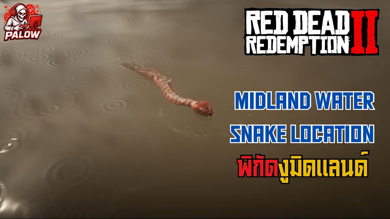 RDR2 Midland Water Snake Location | พิกัดงูมิดแลนด์