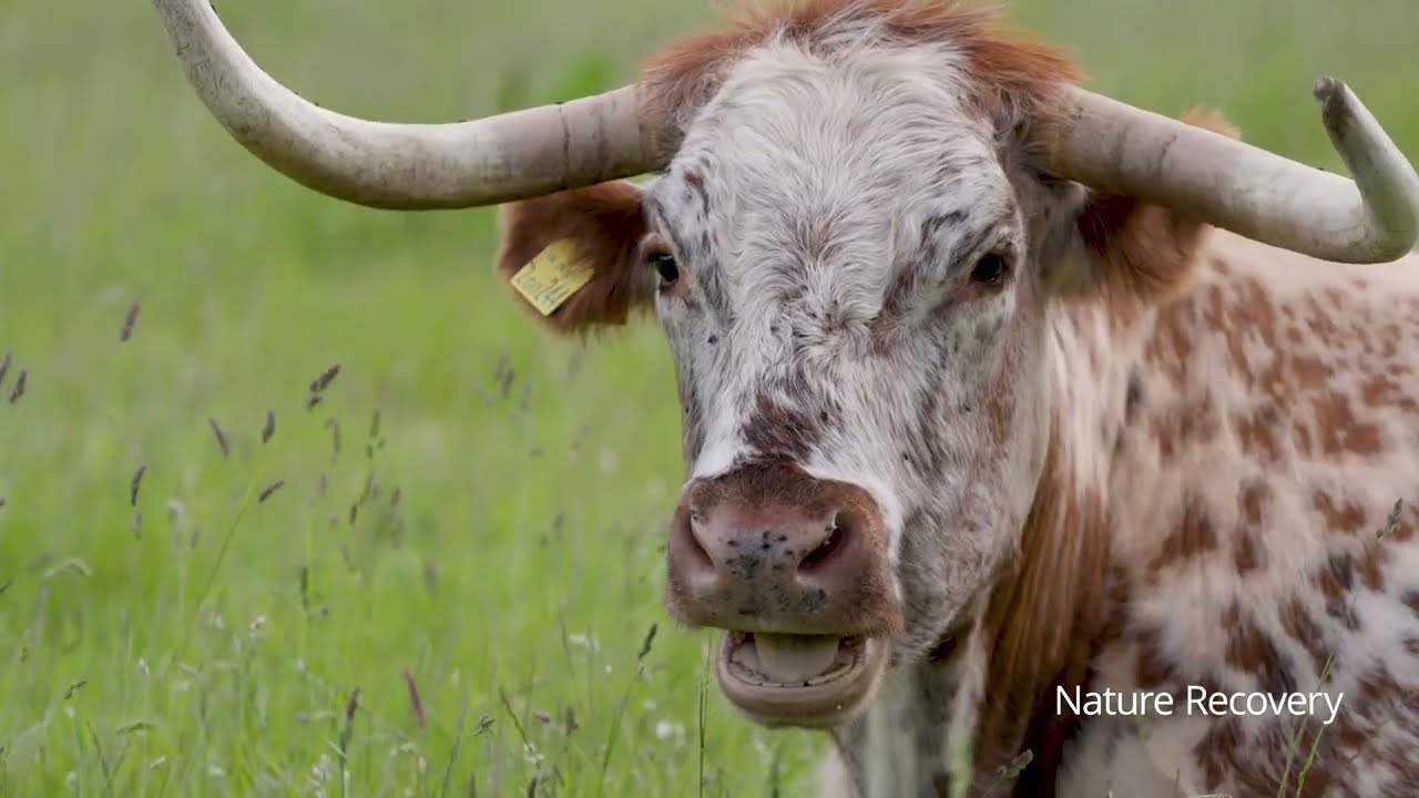 Maydencroft Environmental Services - Here are some examples of what we do. 📹