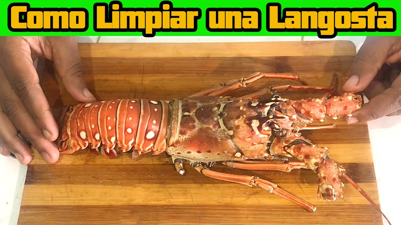 COMO LIMPIAR UNA LANGOSTA Paso a Paso | Como Lavar un Bogavante de forma correcta