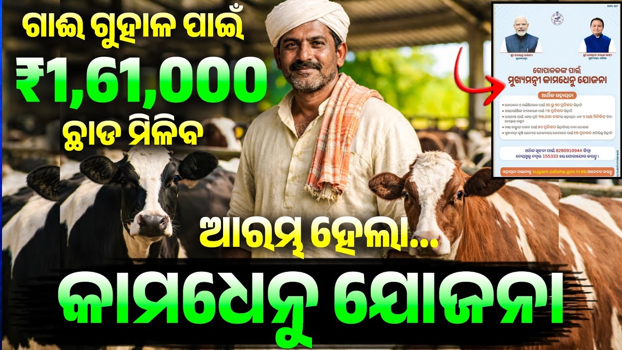 Kamadhenu Yojana Odisha 2026 | Mukhyamantri Kamadhenu Yojana Odisha | Go Palan Yojana Odisha Details