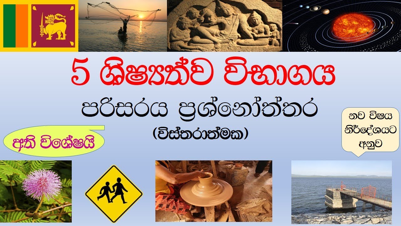 5 wasara shishshathwaya| 5 wasara parisaraya prashna| grade 5 parisaraya|grade 5 scholarship lessons