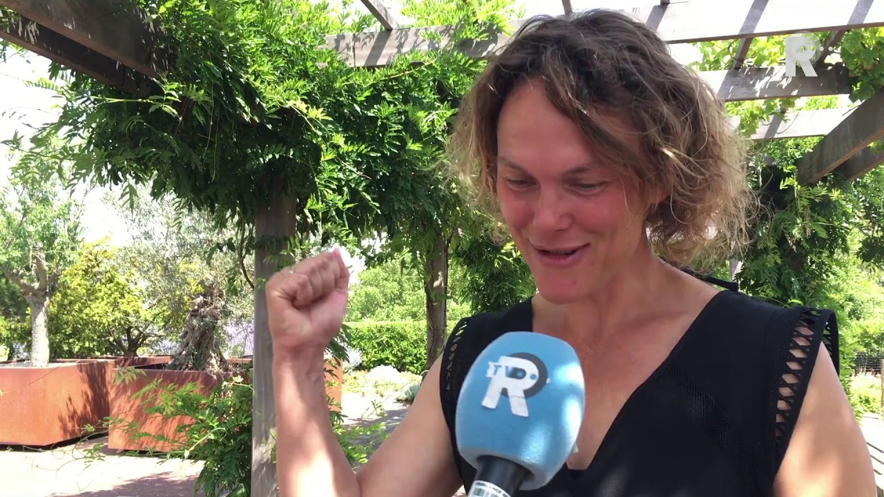 Dakpark: wereldberoemd, maar onbekend in Rotterdam