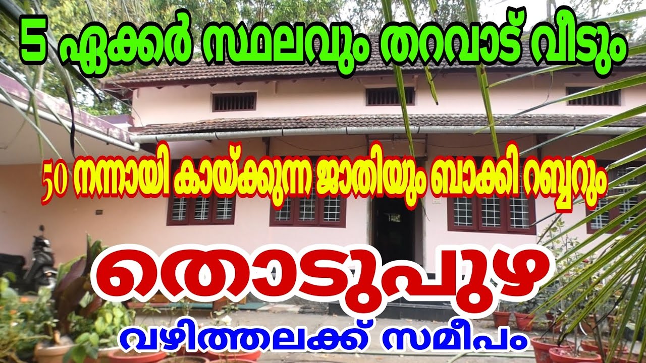 5 Acres of Land with Tharavad Veed for sale near Thodupuzha Vazhithala.