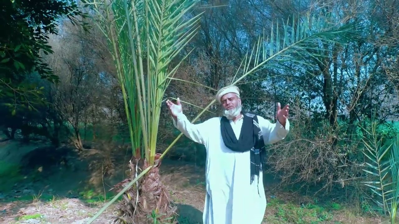 Pashto Naat | Spogmae Che Koza Nashe Za ba Tola Shpa gorama | Haji Jahanzeb 