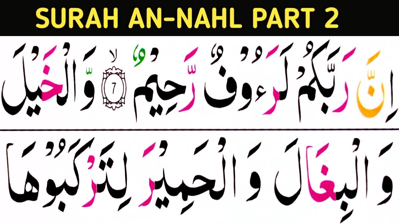Short lesson/Surah An-Nahl Part2/verses8-10/learn Quran easily at home