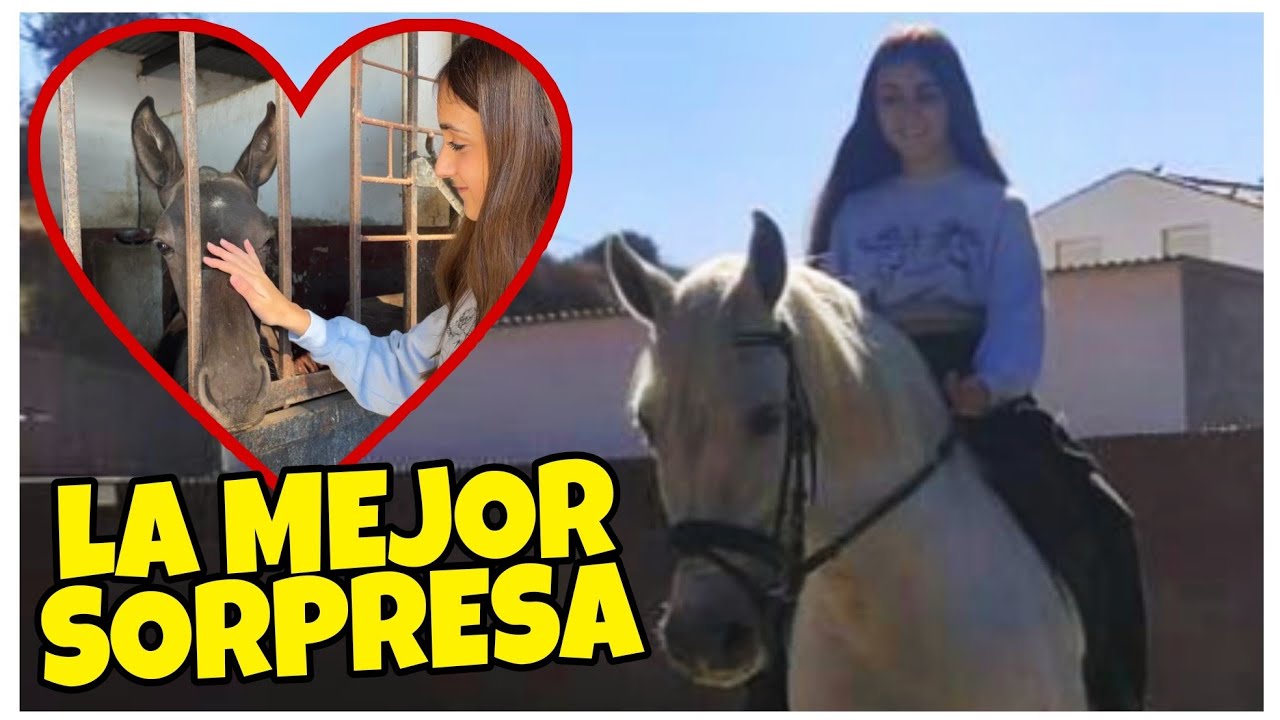 REGALO SORPRESA por mi 15 CUMPLEAÑOS 🎁🎂 - Silvia Sánchez