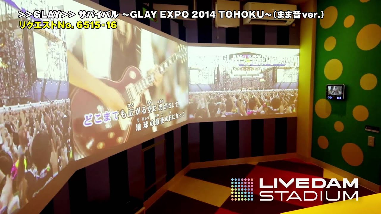 LIVE DAM STADIUM デュアルモニタールーム　カラオケCLUB DAM平成公園店