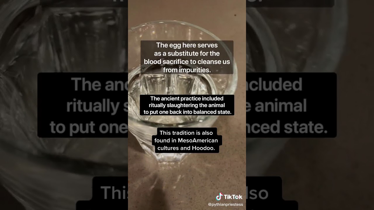 EGG CURSE TEST