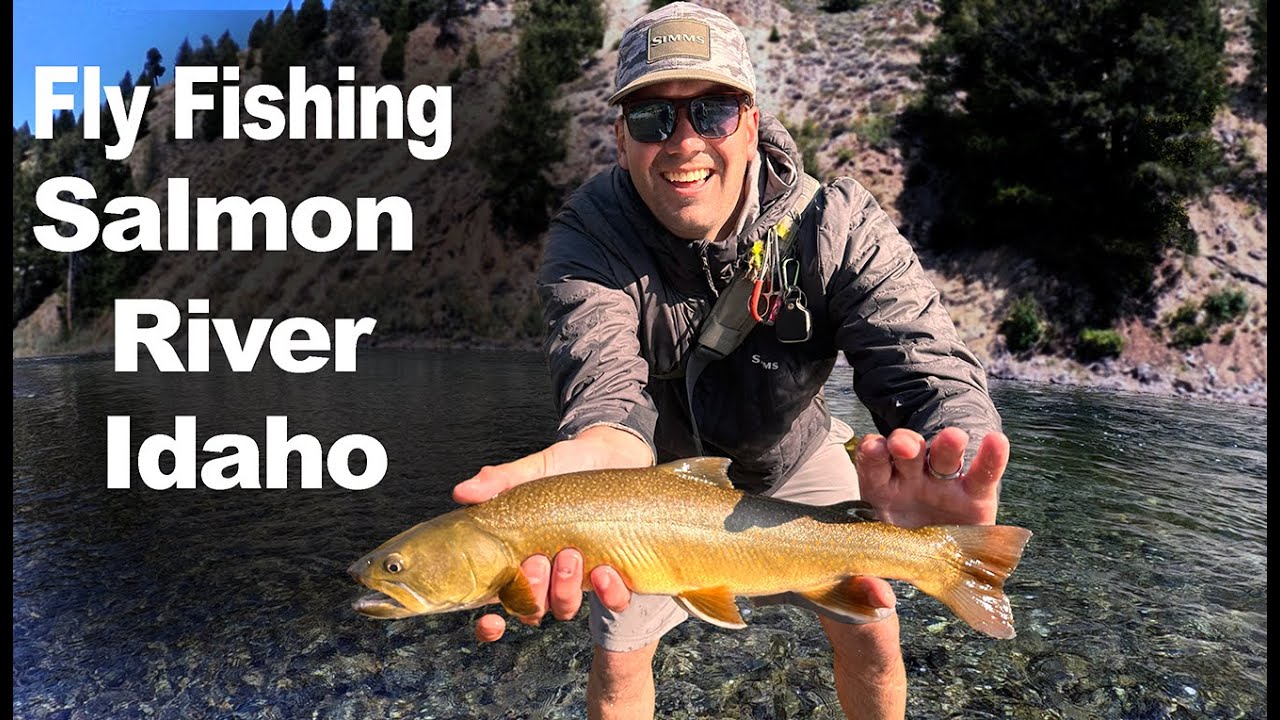 Hooked into a BEAST- Fly Fishing for Bull Trout on the Salmon River 🎣 