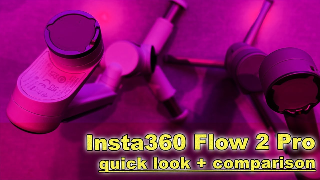 Insta360 Flow 2 Pro