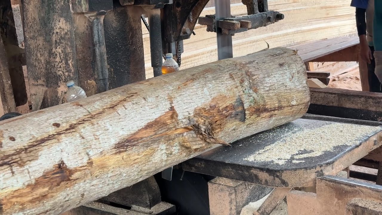 Sawing 2x20 Wood with Sawmill Complete Tutorial