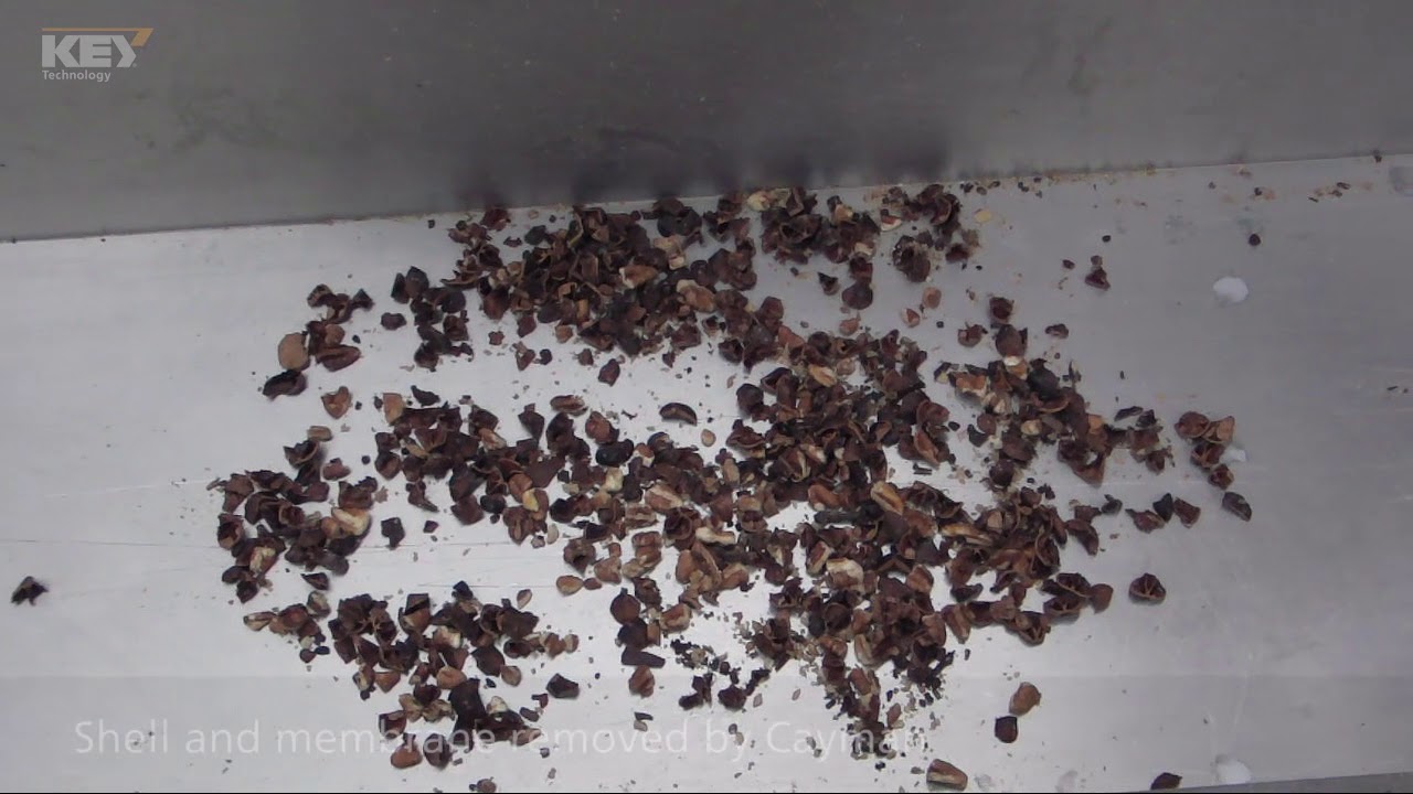 Pecans on Cayman and Optyx 3 Way
