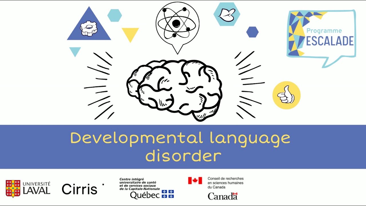 Developmental Language Disorder (DLD) explained to teenagers