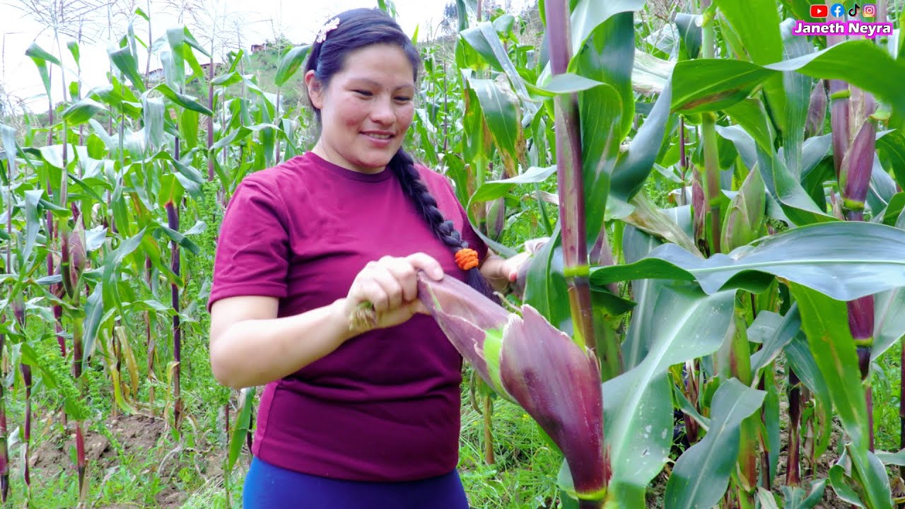 Cocinando choclos en familia en el campo