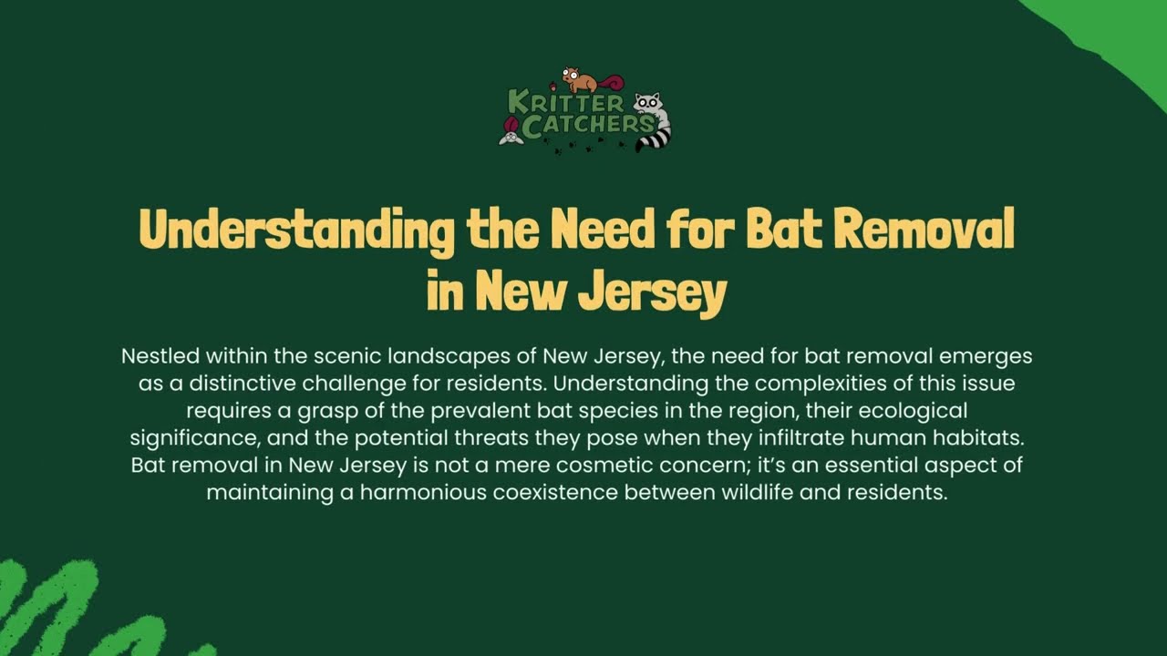 Bat Removal NJ - Kritter Catchers - Humane Wildlife Removal - New Jersey