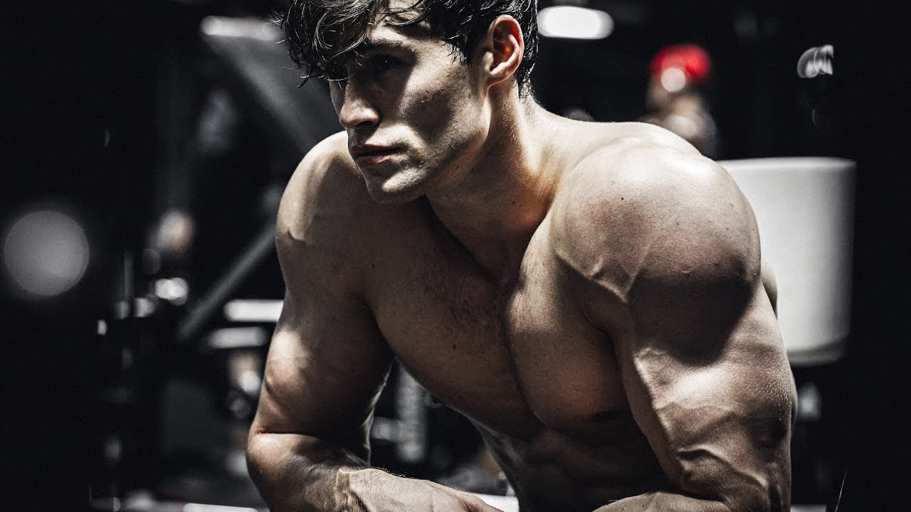 David Laid Gym Motivation 2021🏆DESTINY