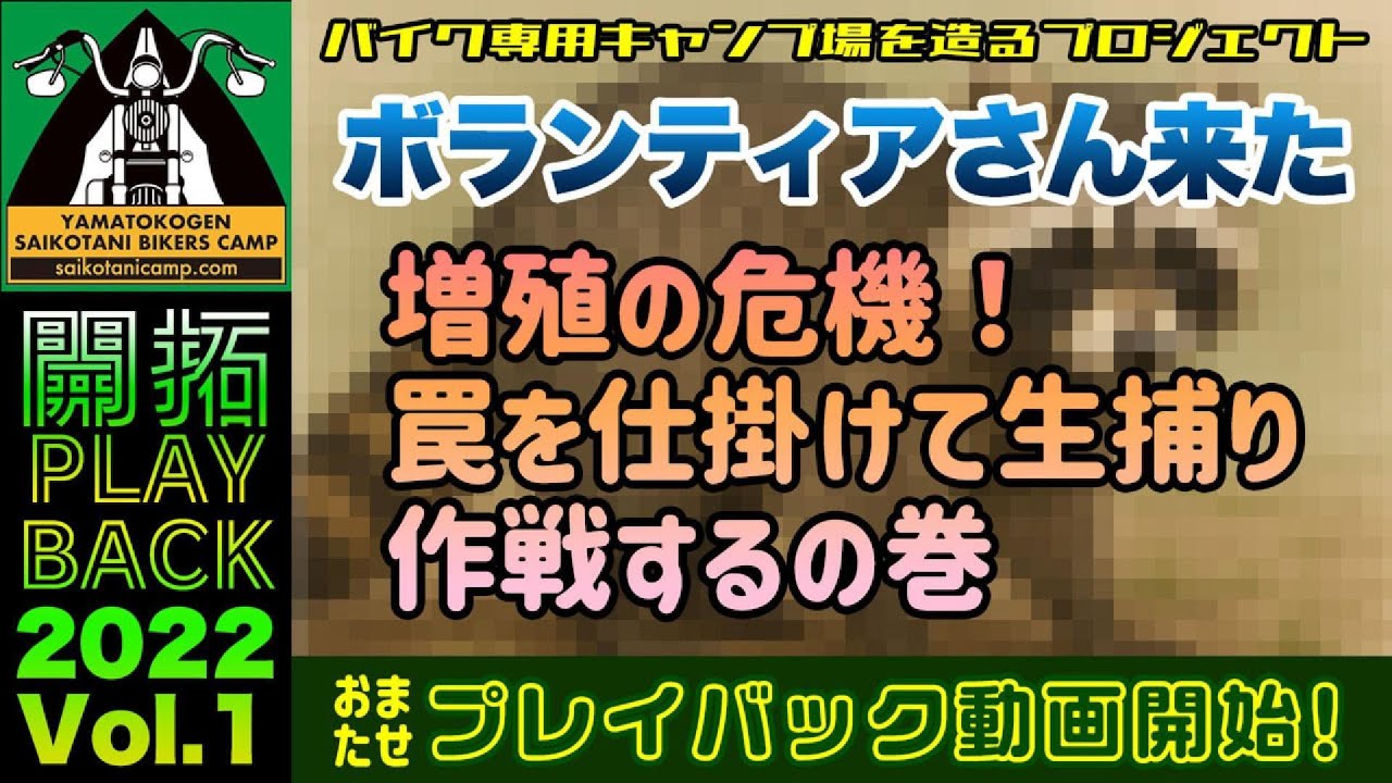 キャンプ場開拓プレイバック＃1：法面工事と害獣を罠で生捕り＆ボランティアさん来たの巻 #キャンプ場作り #山林開拓 #バイク （2022/11）