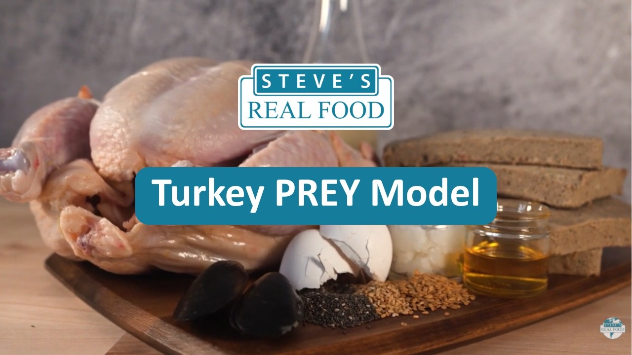 Product Video: Turkey Prey Raw Pet Food - Steve's Real Food