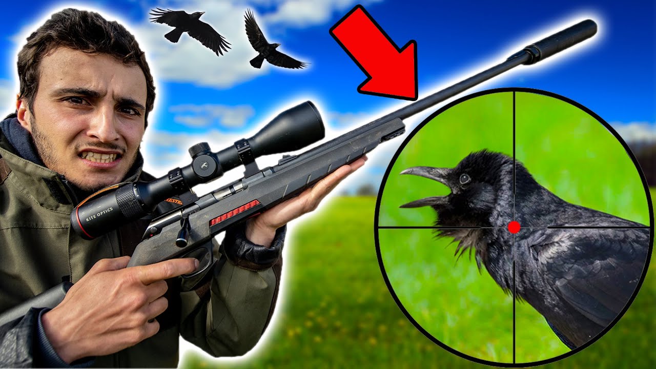 Chasser le Corbeau à la Carabine ?! Sacré Challenge !