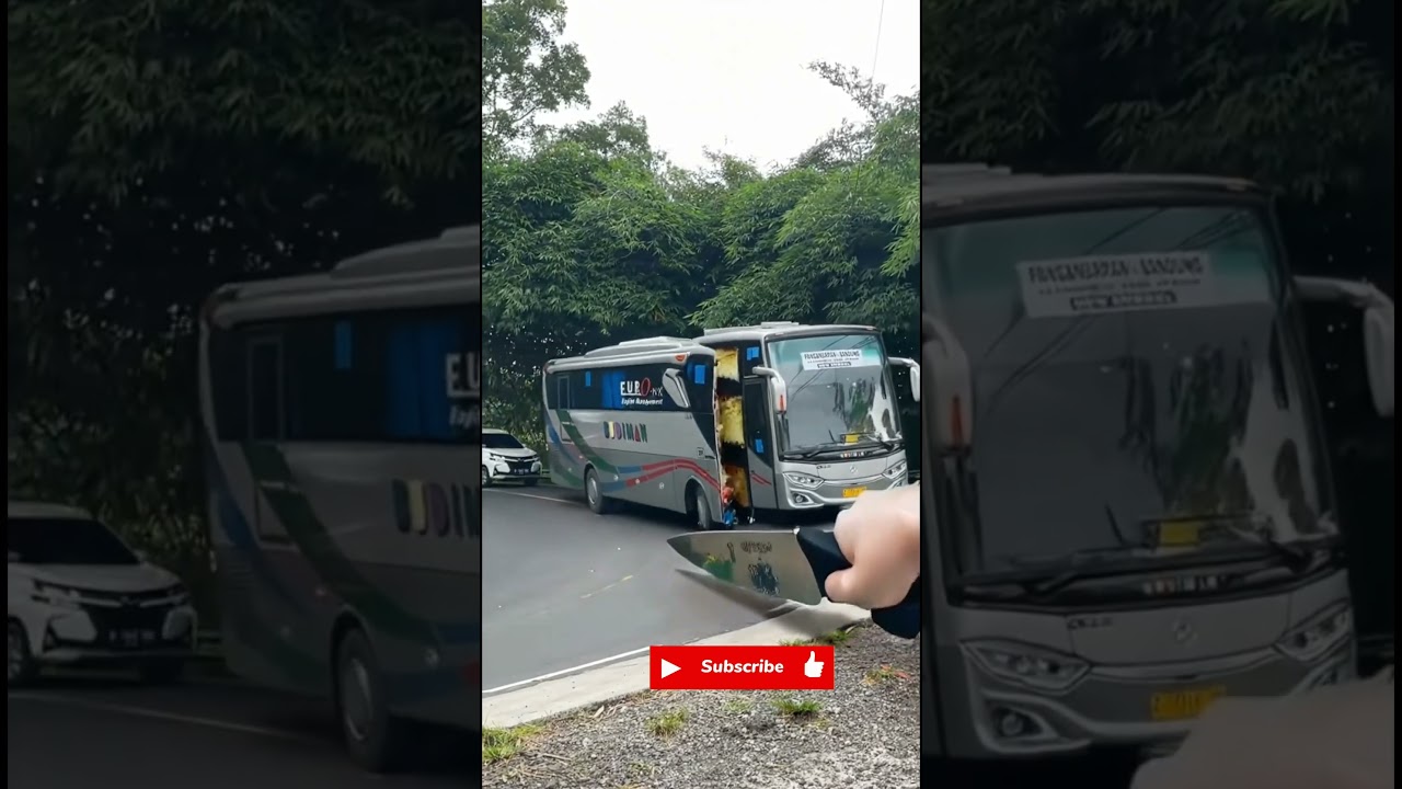 Full telolet basuri bus Budiman #busmania  #basuri #bus #telolet #buspariwisata