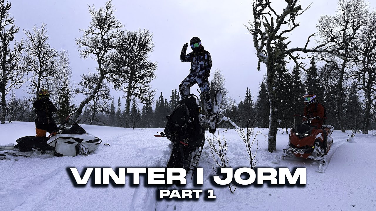 Jorm 2024 - Part 1