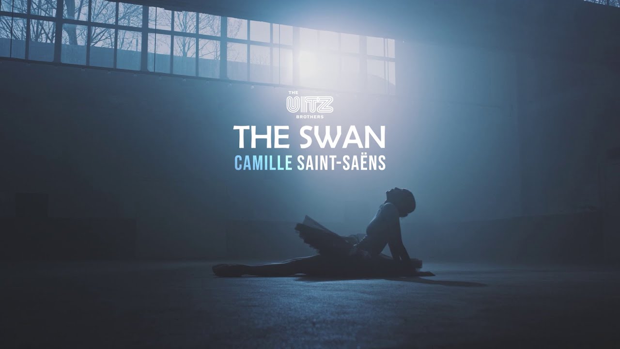 Saint-Saëns - The Swan - Violin Duo