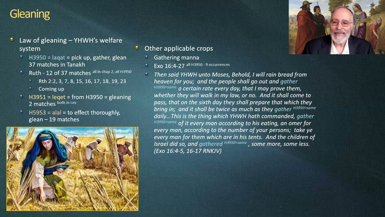 Ruth Session 3v2 - Chapter 2 kindness, mercy, reapers, gleaners, bowing, wings on 052823