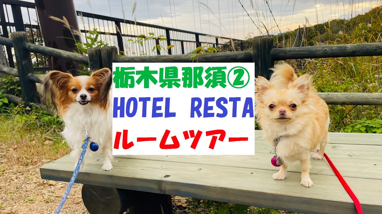 【犬と旅行】栃木県那須　HOTEL RESTA ②宿泊