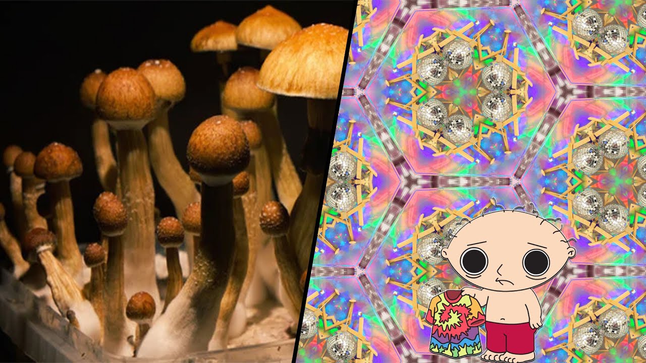 Tripping HARD on Shrooms