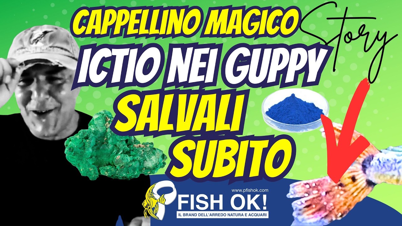 🚑🐟 Puntini bianchi (Ictio) sui Guppy? Guida Facile per Salvarli!