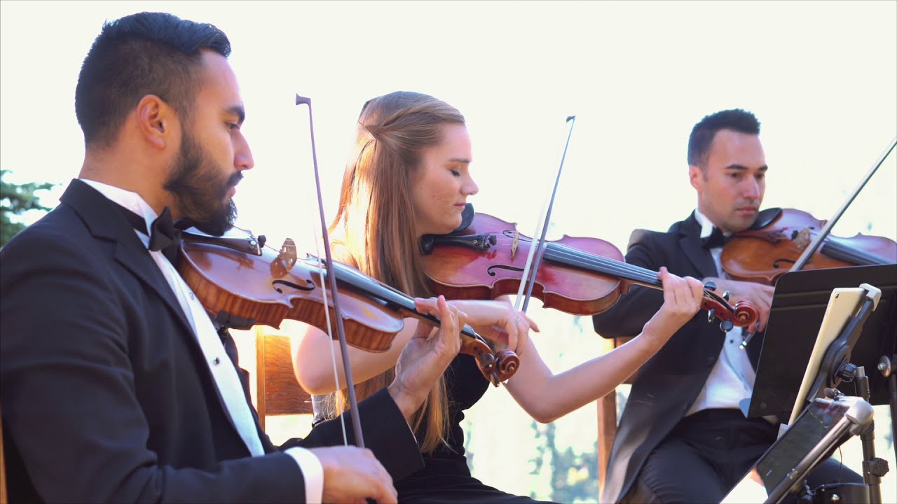 Cascadia Quartet | Hey There Delilah - Plain White T's